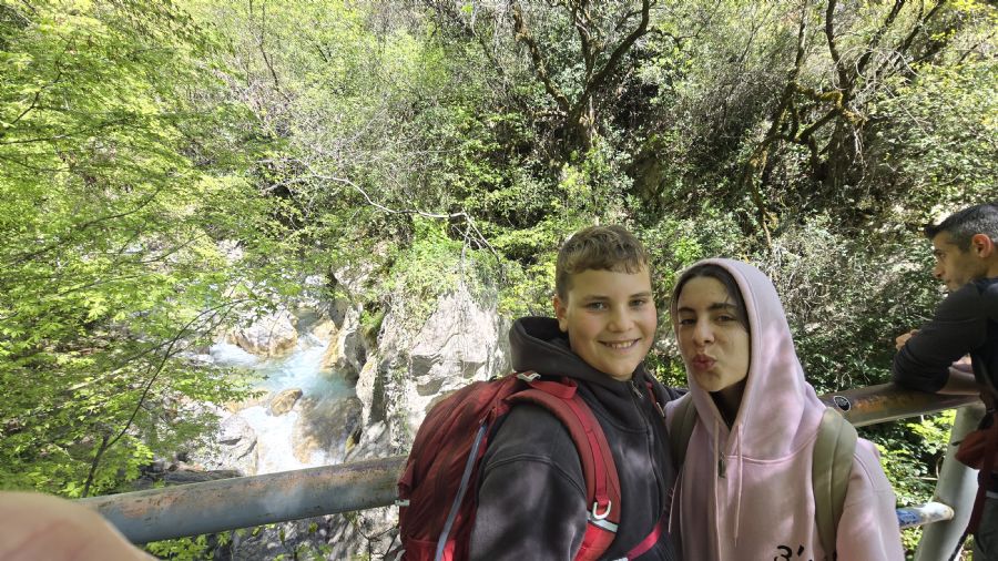 טרק המנליון